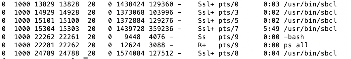 sbcl-servers